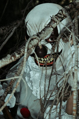 creepy evil clown hidding in the woods