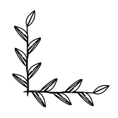 flower foliage corner border