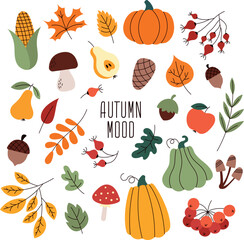 Vector set of autumn stickers. Autumn collection of hand-drawn illustrations. Mushrooms, leaves, acorns, pumpkins, corn and fruit isolated on white background. Great for seasonal holidays