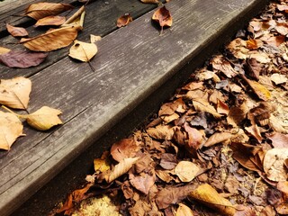 Autumn atmosphere - autumn photos - fallen leaves on a wooden surface - vibe of autumn