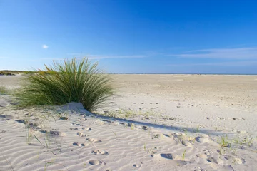 Crédence de cuisine en verre imprimé Mer du Nord, Pays-Bas the dunes, Renesse, Zeeland, the Netherlands