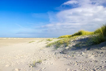 Papier Peint photo Mer du Nord, Pays-Bas the dunes, Renesse, Zeeland, the Netherlands