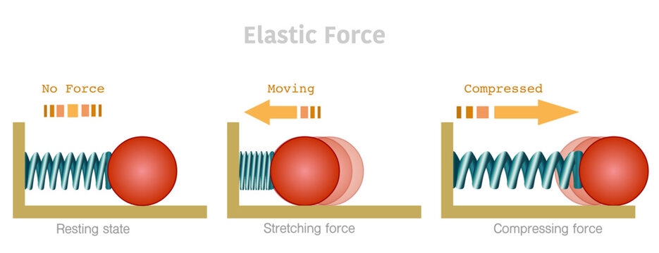 Elastic force, stretch, resting, compressed tension. Elasticity potential energy graphic. Hooke low.  metal springs, red mass moving. Explanations, wire deformation, arrows
Physics illustration vector