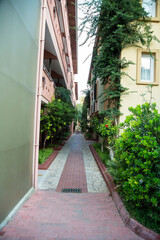 Fototapeta na wymiar Narrow line between apartment buildings with greenery