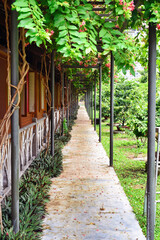 Vertical pathway on backyard in garden of Vietnam without people