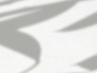 Blurry realistic natural organic shadow of leaf