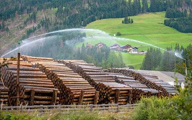  timber yard with logs spattered with water in the Lesachvalley near Obertilliach in Eastern Tirol,...
