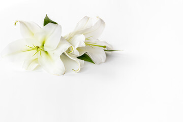 White liles flowers. Mourning or funeral background. Floral mock up