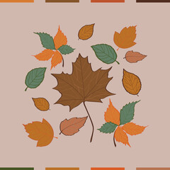 autumn colors, dry leaves, autumn leaves, mushrooms