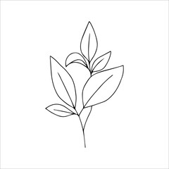 Simple one line drawing of a branch of leaves