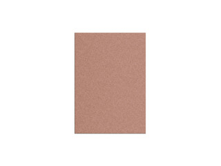 Fototapeta premium A4 Letterhead mockup