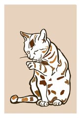 Isolated licking cat poster. Vector illustration.