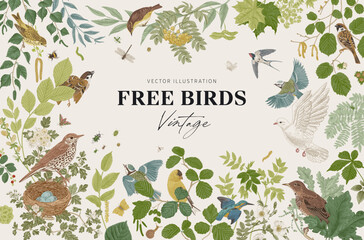 Free Birds. Card. Vector vintage illustration. - 533967301