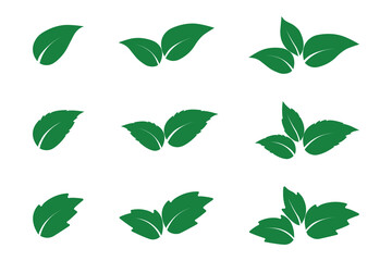 Set of green leaves icon isolated on white background. Various shapes of leaves icon. Design set of leaf in different shapes to use in environmental or healthy logos. Elements for eco and bio logos