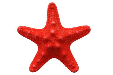 Red starfish  isolated on transparency photo png file 