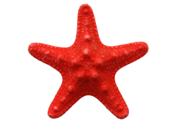 Red starfish  isolated on transparency photo png file 