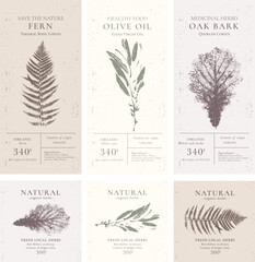 Elegant Label collection for Natural organic herbal products. Vintage packaging design set for Cosmetics, Pharmacy, healthy food