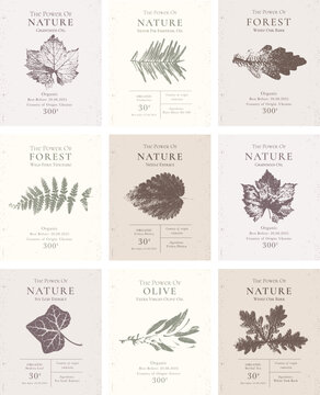 Elegant Label Collection for Natural organic herbal products. Vintage packaging design set for Cosmetics, Pharmacy, healthy food