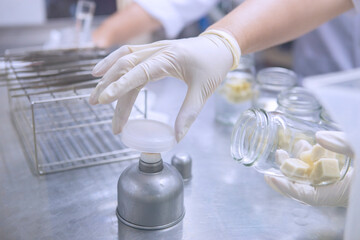 Tissue culture or plant culture