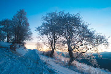 Fototapety na wymiar - Fototapeta24.pl