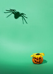 Autumn , halloween 2022.  Halloween pumpkin with yellow sunflower and spider shadow against green  background. Minimal festive composition.
