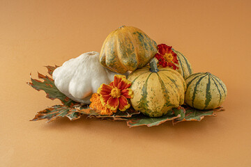 Autumn and halloween 2022. Fall flower , pumpkin and squash arrangement. Many varieties of flowers an squashes on orange  background. Minimal composition.