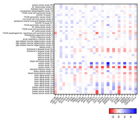 Heatmap representing gene expression data from multiple mRNAseq experiments. - obrazy, fototapety, plakaty