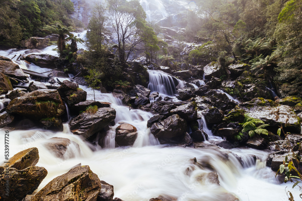 Wall mural St Columba Falls in Tasmania Australia