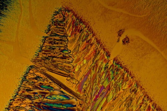 Chemical substance Strontium saliciylate by a microscope in polarized light.