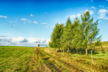 Landscape autumn field with colourful trees, autumn Poland, Europe and amazing blue sky with clouds, sunny day	