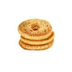 Watercolor illustration of sweet cookies hand painting
