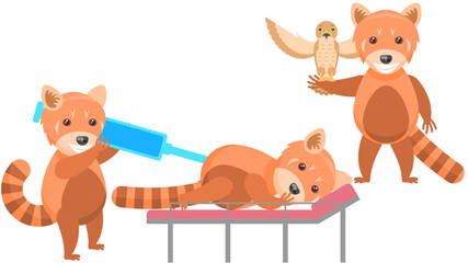 Set Abstract Collection Flat Cartoon Different Animal Red Pandas Giving An Injection To A Patient, Stands With A Falcon On His Hand Vector Design Style Elements Fauna Wild