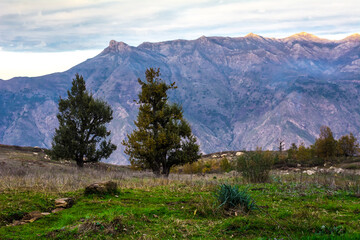 Autumn forest road leaves fall in ground landscape on autumnal background in November, Atmospheric autumn forest in fog, African autumn in Algeria, mountains Africa, mountain in forest Jijel.