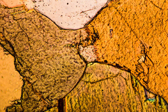 Cross-section of Gabbro photographed through the microscope in polarized light
