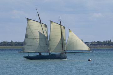 Fototapeta premium Bisquine vieux gréement typique de la région de Cancale