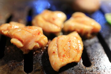 ホルモン焼肉（テッチャン・ミノ）