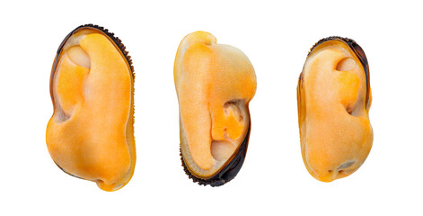 Mussels, seafood entrails without flaps, shellfish cooked boiled, close-up, isolated on white background with clipping path.