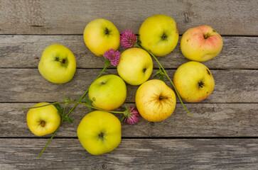 Apples on a wooden background. Fruit picking in the garden in autumn. Vegetarianism.