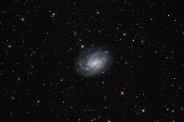 Naklejka na ściany i meble NGC 300
