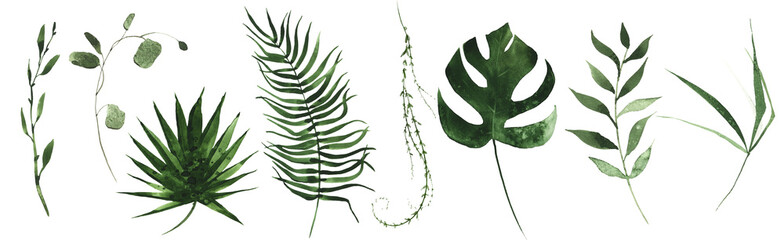 Watercolor floral set of exotic green leaves, branches, twigs etc. Isolated tropical greenery. 