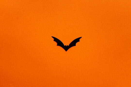 black bat on an orange background