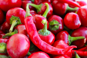 Mix of red hot peppers, spice vegetable fresh