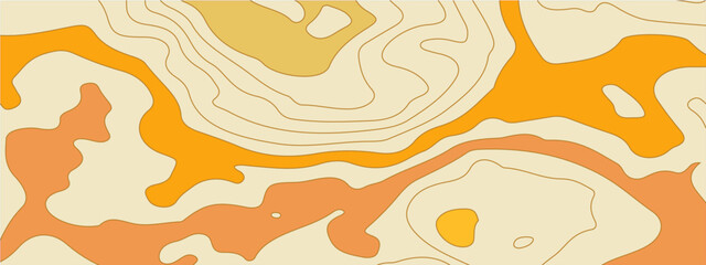 The stylized colorful wavy abstract topographic map contour, lines Pattern background. Topographic map and landscape terrain texture grid. Wavy banner and color geometric form. Vector illustration.