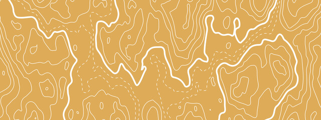 The stylized colorful wavy abstract topographic map contour, lines Pattern background. Topographic map and landscape terrain texture grid. Wavy banner and color geometric form. Vector illustration.
