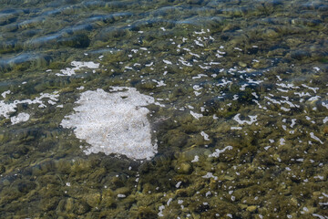 mucilage on the sea surface. environmental disaster.
