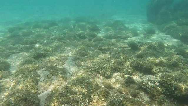 Relaxed view of the underwater scene of the sea bottom. Turquoise color seawater. Below sea water surface. Sunbeams on rocks and sandy seabeds. Slow-motion footage.