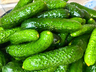 Small cucumbers in a container with water, or washing cucumbers for pickling.