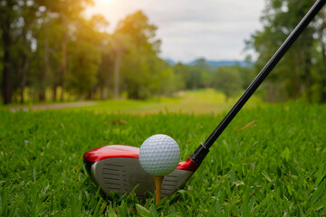 Golf club and golf ball close up in grass field with sunset.
