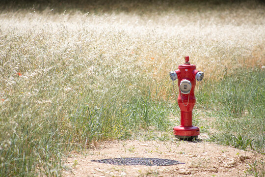 Wasser-Hydrant im Getreidefeld