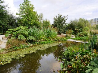 Jardin extraordinaire à la carrière Miséry à Nantes en Loire Atlantique en France jardin exotique